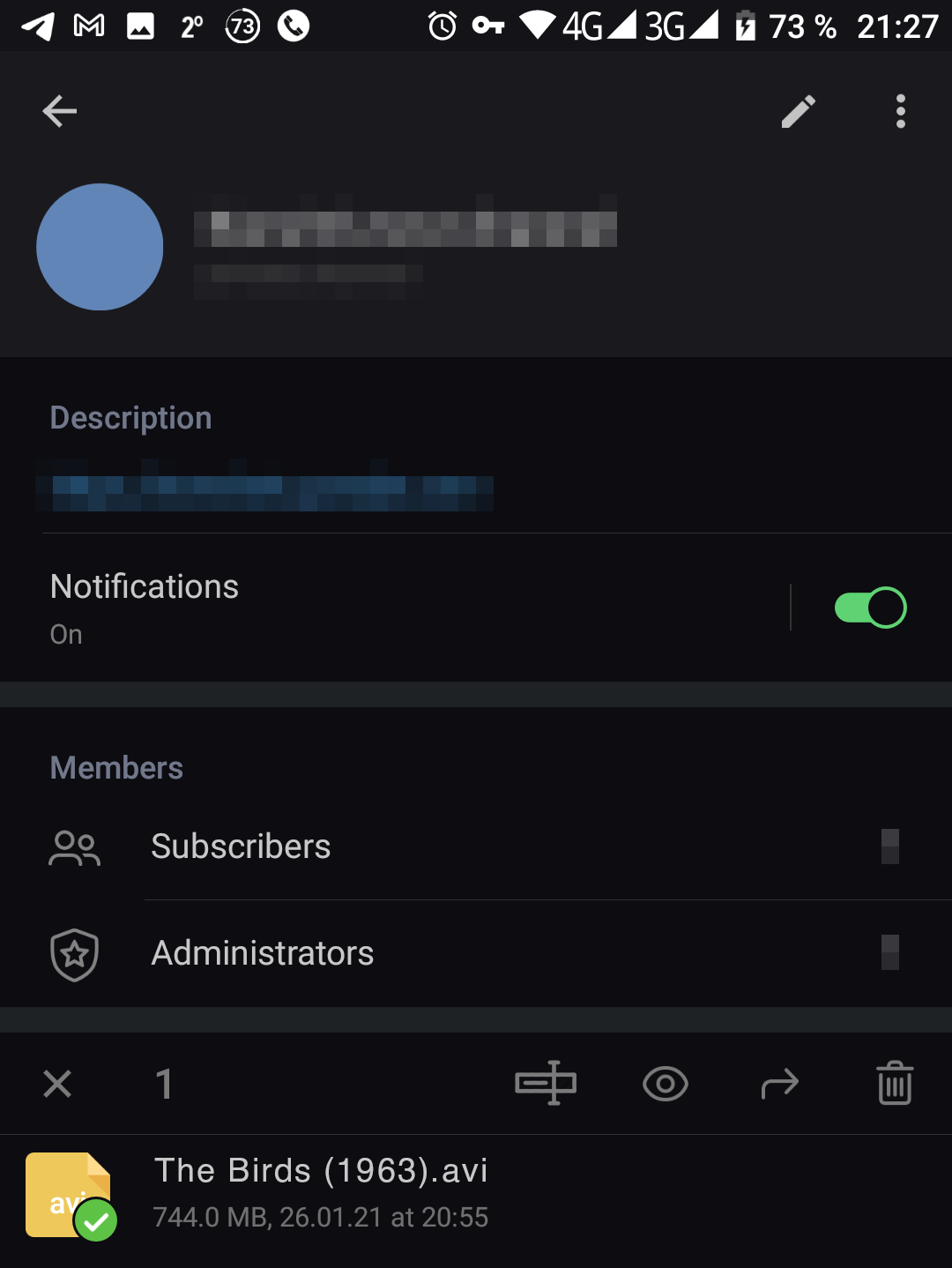Screenshot of Telegram channel info panel in dark mode while sending a file, illustrating context for file rename request. Visible sections: blurred description waveform, Notifications toggle on, Members with Subscribers and Administrators. Bottom shows attached file The Birds (1963).avi (744.0 MB, dated 26.01.21 at 20:55) with green checkmark.